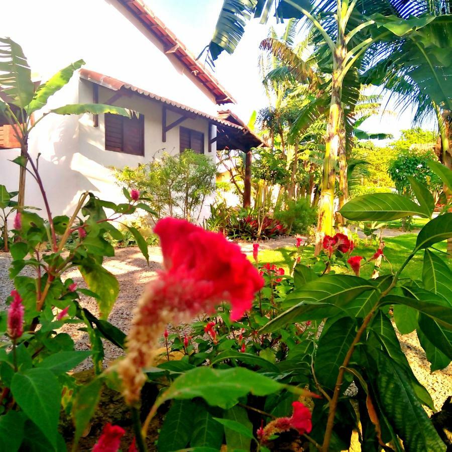 Tropicana Kite Village São Miguel do Gostoso Exterior foto